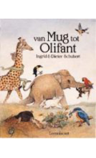 Van mug tot olifant